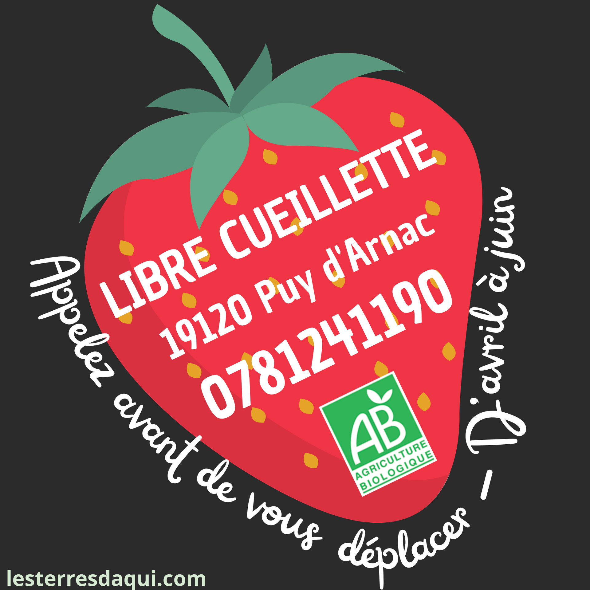 Libre cueillette fraises bio Les Terres d'Aqui Corrèze Lot