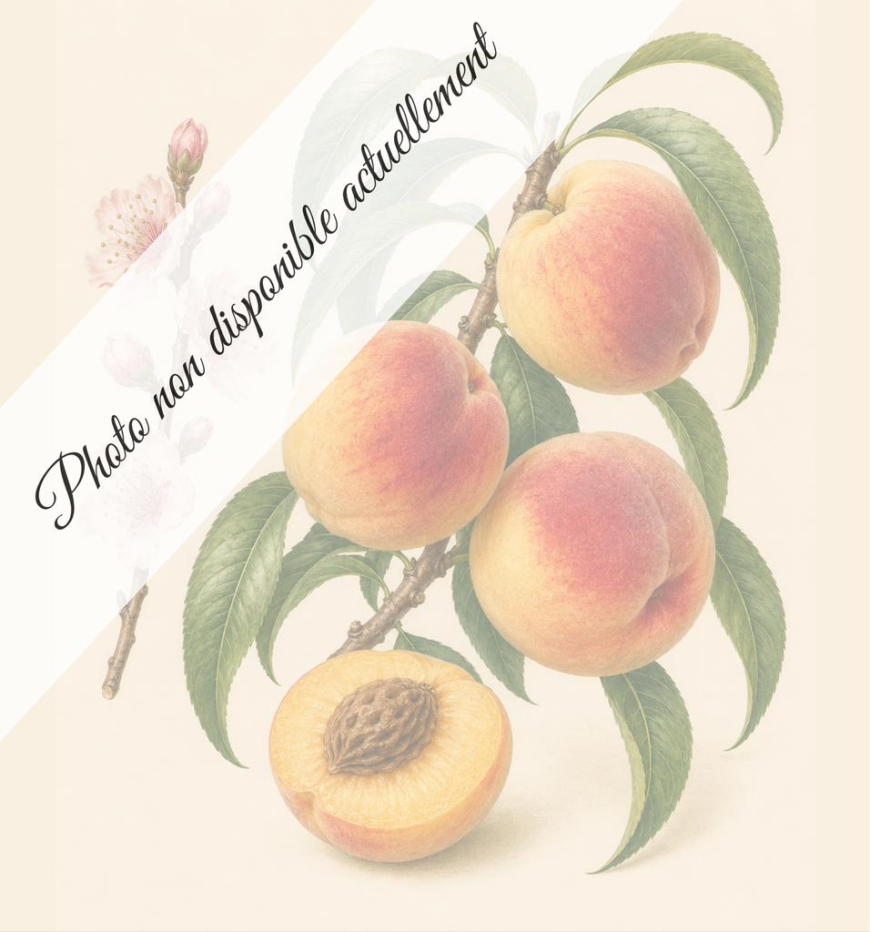 Roussane de monein